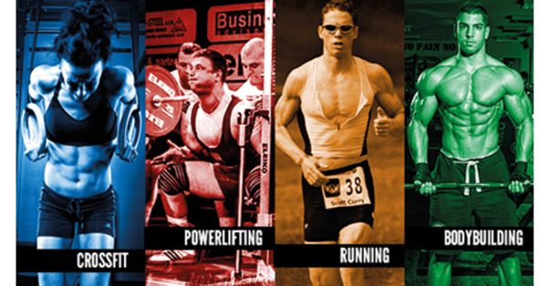Creasport-Banner-120